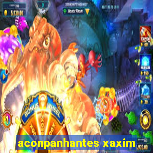 aconpanhantes xaxim